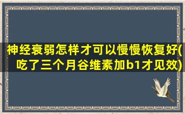 神经衰弱怎样才可以慢慢恢复好(吃了三个月谷维素加b1才见效)