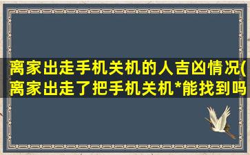 离家出走手机关机的人吉凶情况(离家出走了把手机关机*能找到吗)