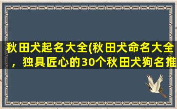 秋田犬起名大全(秋田犬命名大全，独具匠心的30个秋田犬狗名推荐！)