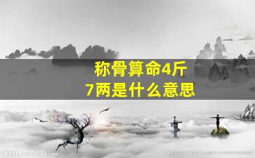 称骨算命4斤7两是什么意思