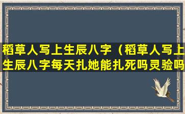 稻草人写上生辰八字（稻草人写上生辰八字每天扎她能扎死吗灵验吗）