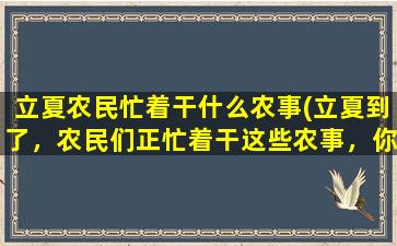 立夏农民忙着干什么农事(立夏到了，农民们正忙着干这些农事，你知道吗？)