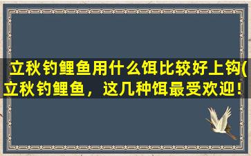 立秋钓鲤鱼用什么饵比较好上钩(立秋钓鲤鱼，这几种饵最受欢迎！)