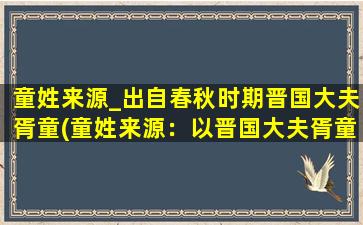 童姓来源_出自春秋时期晋国大夫胥童(童姓来源：以晋国大夫胥童为中心的历史考察)