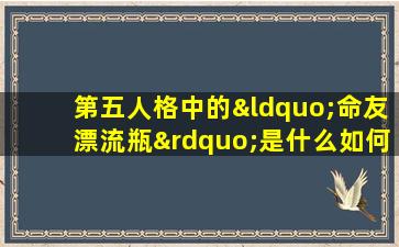 第五人格中的“命友漂流瓶”是什么如何使用