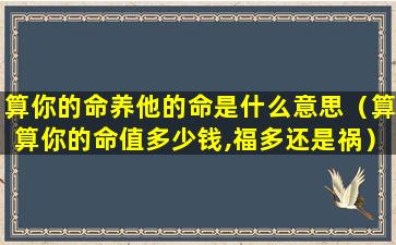 算你的命养他的命是什么意思（算算你的命值多少钱,福多还是祸）