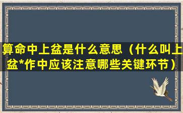 算命中上盆是什么意思（什么叫上盆*作中应该注意哪些关键环节）