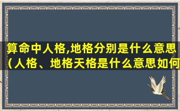 算命中人格,地格分别是什么意思（人格、地格天格是什么意思如何算自己的）