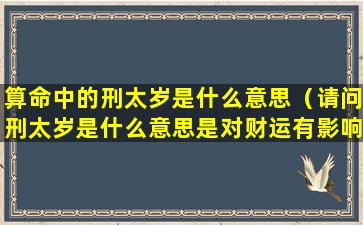 算命中的刑太岁是什么意思（请问刑太岁是什么意思是对财运有影响吗）