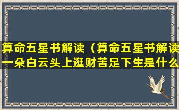 算命五星书解读（算命五星书解读一朵白云头上逛财苦足下生是什么意思）