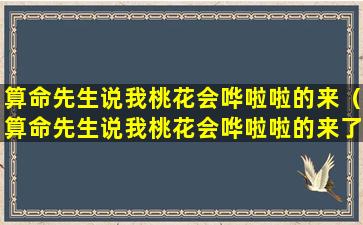 算命先生说我桃花会哗啦啦的来（算命先生说我桃花会哗啦啦的来了）