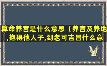 算命养宫是什么意思（养宫及养地,抱得他人子,到老可吉昌什么意思）