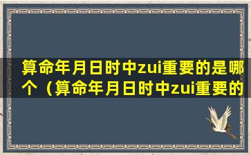 算命年月日时中zui重要的是哪个（算命年月日时中zui重要的是哪个生肖）