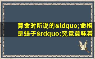 算命时所说的“命格是蝎子”究竟意味着什么