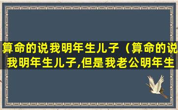 算命的说我明年生儿子（算命的说我明年生儿子,但是我老公明年生女儿）