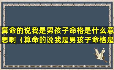 算命的说我是男孩子命格是什么意思啊（算命的说我是男孩子命格是什么意思啊怎么解释）