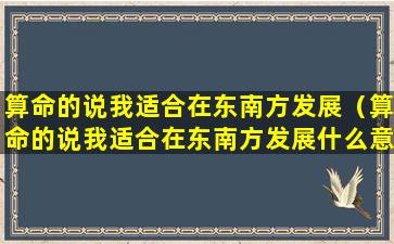 算命的说我适合在东南方发展（算命的说我适合在东南方发展什么意思）