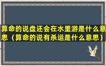 算命的说盘还会在水里游是什么意思（算命的说有杀运是什么意思）