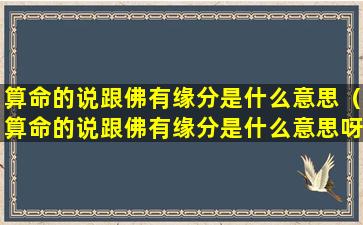 算命的说跟佛有缘分是什么意思（算命的说跟佛有缘分是什么意思呀）