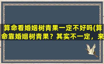 算命看婚姻树青果一定不好吗(算命靠婚姻树青果？其实不一定，来了解一下！)