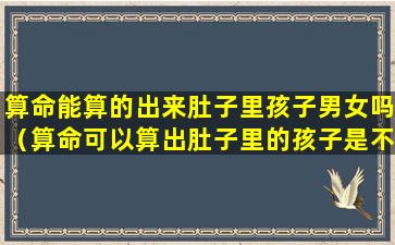 算命能算的出来肚子里孩子男女吗（算命可以算出肚子里的孩子是不是他生的）