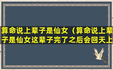 算命说上辈子是仙女（算命说上辈子是仙女这辈子完了之后会回天上吗）