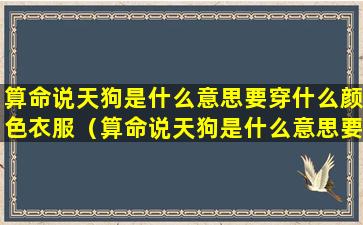 算命说天狗是什么意思要穿什么颜色衣服（算命说天狗是什么意思要穿什么颜色衣服呢）