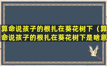 算命说孩子的根扎在葵花树下（算命说孩子的根扎在葵花树下是啥意思）