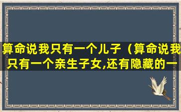 算命说我只有一个儿子（算命说我只有一个亲生子女,还有隐藏的一个养子）