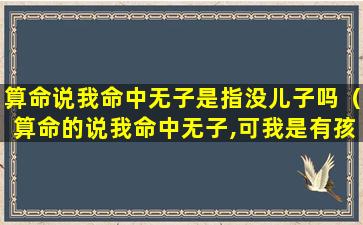 算命说我命中无子是指没儿子吗（算命的说我命中无子,可我是有孩子的呀,这是怎么回事儿）