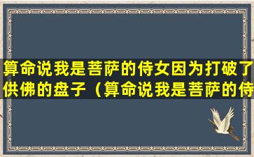 算命说我是菩萨的侍女因为打破了供佛的盘子（算命说我是菩萨的侍女因为打破了供佛的盘子是真的吗）