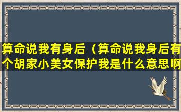 算命说我有身后（算命说我身后有个胡家小美女保护我是什么意思啊）