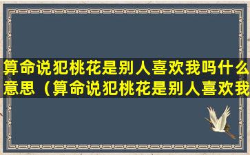 算命说犯桃花是别人喜欢我吗什么意思（算命说犯桃花是别人喜欢我吗什么意思呀）