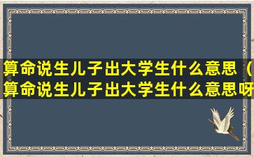 算命说生儿子出大学生什么意思（算命说生儿子出大学生什么意思呀）