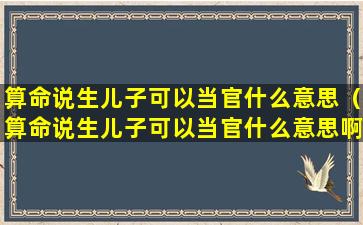 算命说生儿子可以当官什么意思（算命说生儿子可以当官什么意思啊）