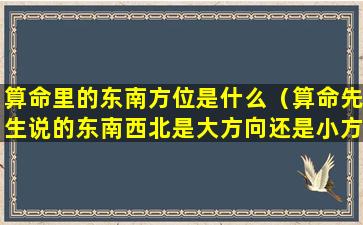 算命里的东南方位是什么（算命先生说的东南西北是大方向还是小方向）