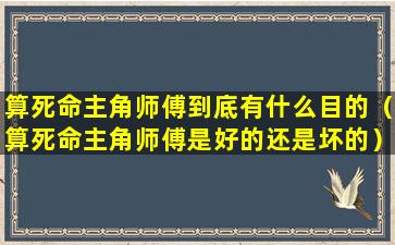 算死命主角师傅到底有什么目的（算死命主角师傅是好的还是坏的）