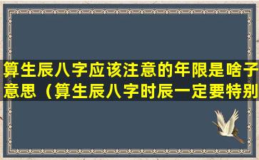 算生辰八字应该注意的年限是啥子意思（算生辰八字时辰一定要特别精准吗）