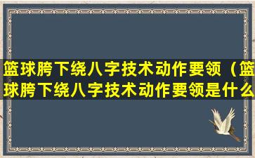 篮球胯下绕八字技术动作要领（篮球胯下绕八字技术动作要领是什么）