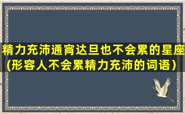 精力充沛通宵达旦也不会累的星座(形容人不会累精力充沛的词语）