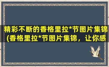 精彩不断的香格里拉*节图片集锦(香格里拉*节图片集锦，让你感受云南少数民族文化之美)