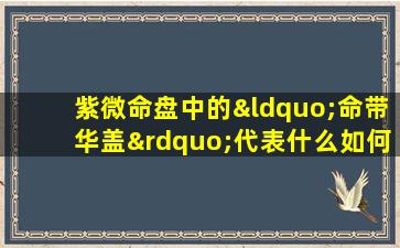 紫微命盘中的“命带华盖”代表什么如何在线查询星盘