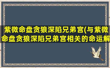 紫微命盘贪狼深陷兄弟宫(与紫微命盘贪狼深陷兄弟宫相关的命运解析)