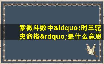 紫微斗数中“时羊驼夹命格”是什么意思