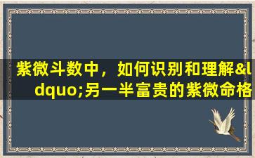 紫微斗数中，如何识别和理解“另一半富贵的紫微命格”