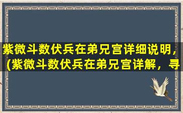 紫微斗数伏兵在弟兄宫详细说明，(紫微斗数伏兵在弟兄宫详解，寻找贵人助力，引领事业腾飞！)