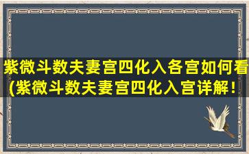 紫微斗数夫妻宫四化入各宫如何看(紫微斗数夫妻宫四化入宫详解！)