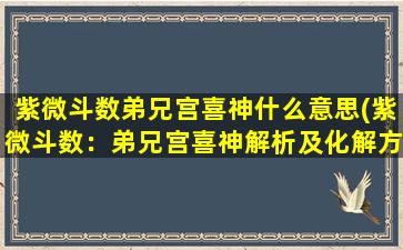 紫微斗数弟兄宫喜神什么意思(紫微斗数：弟兄宫喜神解析及化解方法)