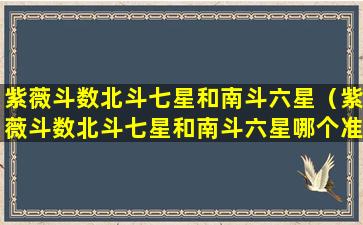 紫薇斗数北斗七星和南斗六星（紫薇斗数北斗七星和南斗六星哪个准）