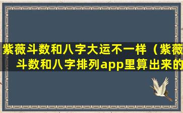 紫薇斗数和八字大运不一样（紫薇斗数和八字排列app里算出来的大运年不一致）